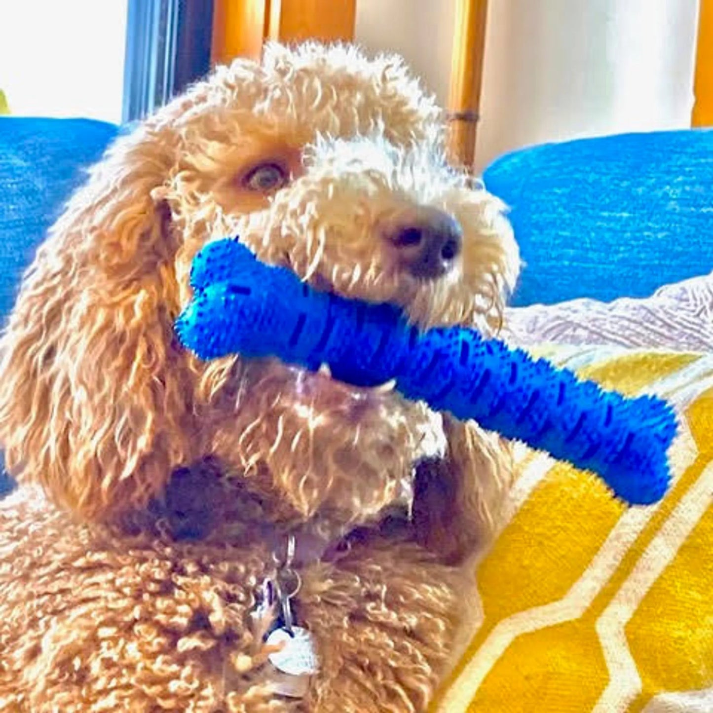 Natural Rubber Bone Toothbrush Toy